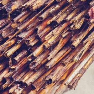 HUT architecture Montréal